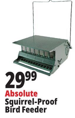 Ocean State Job Lot Absolute squirrel-proof bird feeder offer