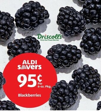 Aldi Blackberries offer