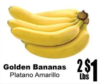 Golden Bananas Platano Amarillo