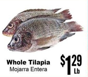 Whole Tilapia