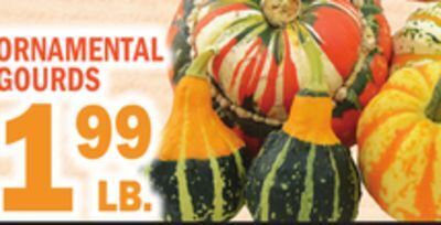 C Town Ornamental gourds offer