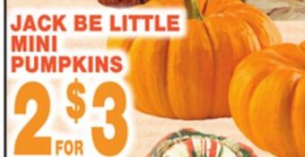 Bravo Supermarkets Jack be little mini pumpkins offer
