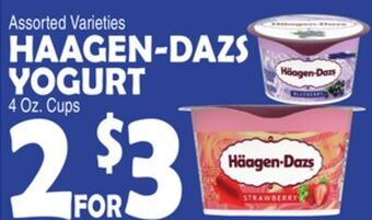 Bravo Supermarkets Haagen-dazs yogurt offer