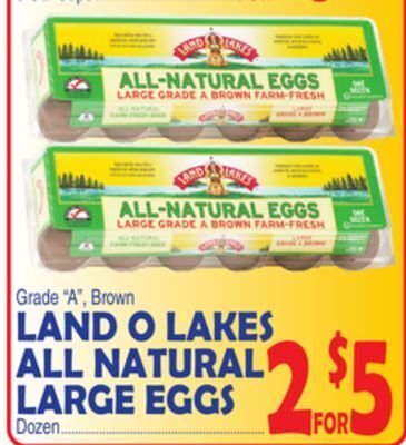 Bravo Supermarkets Land o lakes all natural large eggs offer