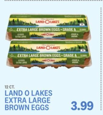 Kings Food Markets Land o lakes extra large brown eggs offer