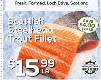 DeCicco & Sons Scottish steelhead trout fillet offer