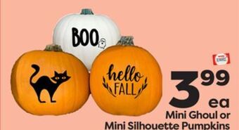 Weis Markets Mini ghoul or mini silhouette pumpkins offer