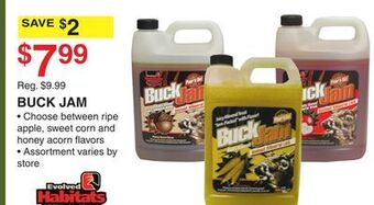 Dunham's Sports Buck jam offer