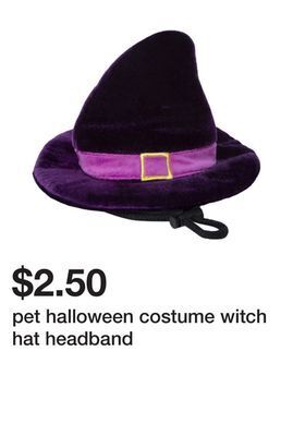 Five Below Pet halloween costume witch hat headband offer