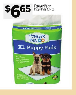Dollar General Forever pals offer