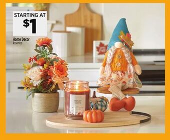 Dollar General Home decor offer