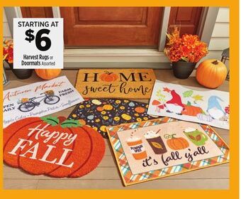 Dollar General Harvest rugs or doormats offer