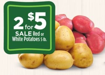 Dollar General Red or white potatoes offer
