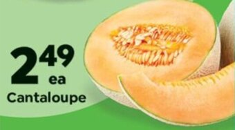 Save a Lot Cantaloupe offer