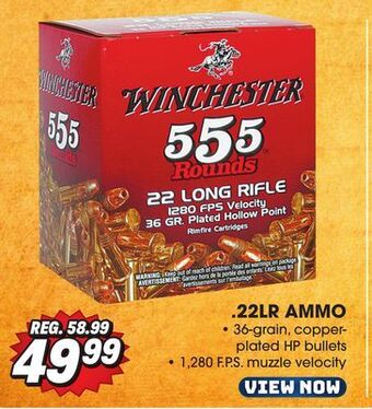 Big 5 Winchester .22lr ammunition - 555-round value pack offer