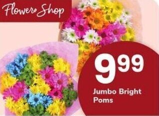 ACME Jumbo Bright Poms offer