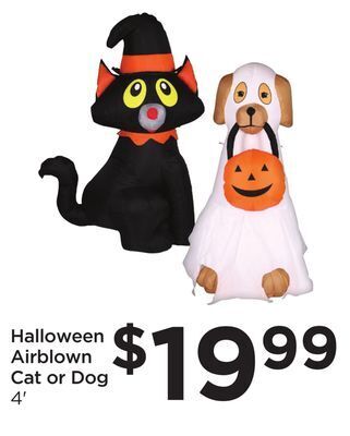 Food 4 Less Halloween airblown cat or dog offer