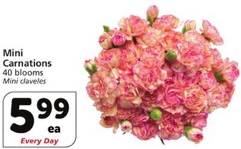 Vons Mini carnations offer