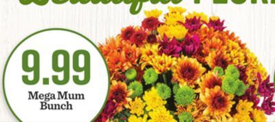 Mariano's Mega mum bunch offer