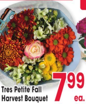 Jewel-Osco Tres petite fall harvest bouquet offer