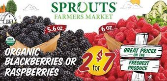 Sprouts Farmers Market Organic blackberries or raspberries offer