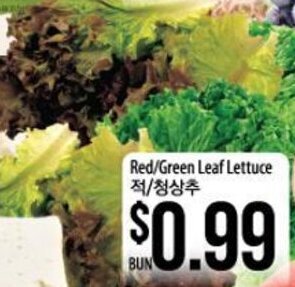 Hmart Red/Green Leaf Lettuce offer