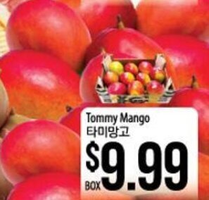 Hmart Tommy Mango offer