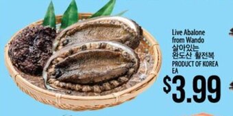Hmart Live Abalone from Wando offer