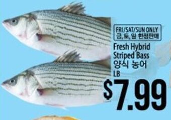 Hmart Fresh Hybrid Striped Bass offer