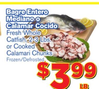El Super Fresh Fresh whole catfish, 2-3 lbs. or cooked calamari chunks offer