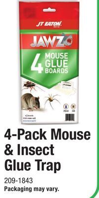 Menards Jawz mouse & insect glue trap - 4 pack offer