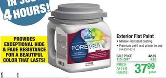 Menards Dutch boy forever exterior flat cruisin' blue paint+ primer - 1 gal offer