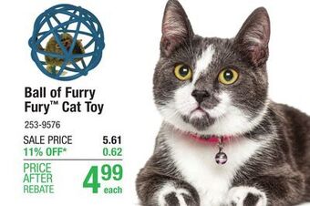 Menards Pet zone play-n-squeak ball of furry fury cat toy offer