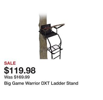 Dick's Sporting Goods Big game warrior dxt ladder stand offer