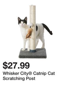 Petsmart Whisker city catnip cat scratching post offer