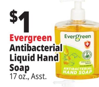Ocean State Job Lot Evergreen french lavender antibacterial hand soap, 17 oz offer