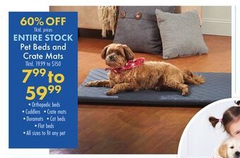 Boscov's Entire stock pet beds and crate mats offer