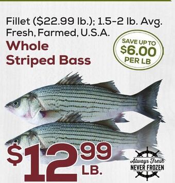 DeCicco & Sons Whole striped bass offer