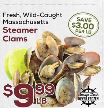 DeCicco & Sons Massachusetts steamer clams offer