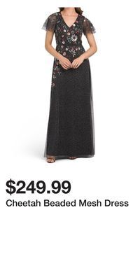 TJ Maxx Cheetah beaded mesh dress offer