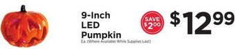 ShopRite 9-inch led pumpkin offer