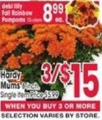 Jewel-Osco Hardy Mums offer