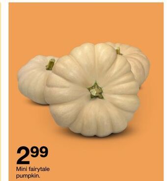 Target Mini fairytale pumpkin offer