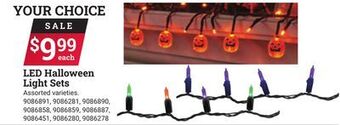 Ace Hardware Led halloween light sets offer