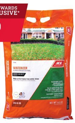 Ace Hardware Ace winterizer offer