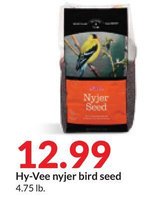 Hy-Vee Hy-vee nyjer bird seed offer