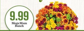 Mariano's Mega mum bunch offer