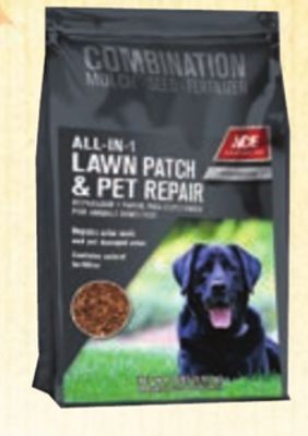 Ace Hardware All-in-1 northern lawn patch & pet repair seed mixture, 2 lb offer