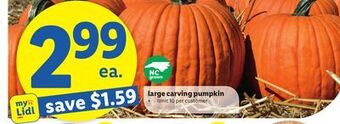 Lidl Large carving pumpkin offer