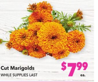 Vallarta Supermarkets Cut marigolds offer
